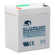 賽特蓄電池BT-12M5.0AC鉛酸12V5AH/20HR內(nèi)置玩具車噴霧器消防電瓶