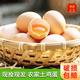 天厚玄鳥(niǎo)正宗散養農家土雞蛋谷物土雞蛋50±5g山林散養新鮮雞蛋土雞蛋 大號散養土雞蛋*30枚【超值】