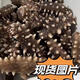 大連即食海參野生泡發(fā)海參高品質(zhì)500g禮盒裝送長輩真空泡發(fā)海參 500g 山東即食泡發(fā)海參 16-18頭