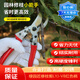 綠園匠園藝剪刀修枝剪果樹(shù)剪枝修花枝專(zhuān)用園林綠化剪子大剪刀修剪神器V8