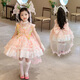 蟻派女童洛麗塔公主裙2025新款夏裝兒童花仙子連衣裙女孩生日禮服裙子 粉紅色(6630花仙子裙子) 150 建議9-10歲(身高145左右)