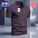 羅蒙（ROMON）夏季純色翻領(lǐng)男士2025新款通勤polo衫上衣商務(wù)短袖T恤立領(lǐng)半袖 絳紫色 ZH513 L 120-130斤