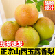 山西玉露香梨新鮮梨子脆冠蘋(píng)果梨當季現摘水果紅酥甜青梨整箱包郵 凈重5斤特級大果