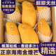 覓百果正宗海南三亞金煌芒新鮮水果當季特大果金黃水仙芒現(xiàn)摘整箱 凈重5斤大果(單果8兩+)性價比高