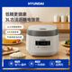 HYUNDAI韓國電飯煲 家用大容量電飯鍋 智能預(yù)約家用多功能蒸煮飯鍋煮飯煲湯 【健康瀝米低糖飯】 3L QC-FB0225A