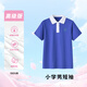 創(chuàng  )童【高級版】深圳校服小學(xué)生男款夏季短袖純棉T恤上衣135