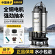 揚(yáng)子潛水泵家用井水水泵不銹鋼抽水泵220v家用水井污水高揚(yáng)程澆菜農(nóng)用 不銹鋼污水泵750W-2寸-10米線