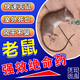 優(yōu)迪王老鼠藥特效大小老鼠一窩端家庭倉庫顆粒餌劑殺鼠滅鼠正宗神器 100g【家庭滅鼠】