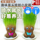 蒲戀頭上長(cháng)草娃娃草頭開(kāi)花兒童種植小盆栽種草綠植觀(guān)察植物生長(cháng)幼兒園 【草頭娃娃/個(gè)】