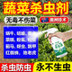 百蟲(chóng)清蔬菜專(zhuān)用殺蟲(chóng)i劑無(wú)毒菜園專(zhuān)用噴霧花卉植物菜地免稀釋防蟲(chóng) 3瓶裝【管三畝地】菜蟲(chóng)清