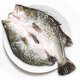 鮮城故事開(kāi)背龍斑魚(yú)3條裝(共1000g) 珠海金目鱸魚(yú) 地標 生鮮魚(yú)類(lèi) 源頭直發(fā)