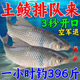 魚(yú)誘土鯪魚(yú)餌料腥香型廣東土鯪最?lèi)?ài)魚(yú)餌窩料江河湖泊野釣魚(yú)餌通殺飼料 2包餌料1000克+送1瓶小藥100毫升