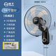 揚子壁扇掛壁式電風(fēng)扇大風(fēng)力搖頭輕音壁扇衛生間飯店廚房餐廳墻壁風(fēng)扇 16寸塑葉機械款【3米電源線(xiàn)】