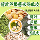 【藥房直售】荷葉蘆根薏仁冬瓜皮 減肥茶中藥材煮水泡水喝養生代 荷苡茶5副【試用裝】荷葉5克炒薏仁10克炒山楂3克