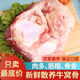 新鮮特級(jí)牛窩骨10斤多筋多肉少骨牛膝蓋骨散養(yǎng)牛4斤批發(fā)產(chǎn)地直發(fā) 【關(guān)注收藏贈(zèng)：燉肉料包】 帶箱8.5斤牛窩骨【凈7.1斤】