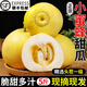 土海畔山東小蜜蜂甜瓜 水果香瓜 當季現(xiàn)摘脆甜瓜 新鮮孕婦水果順豐包郵 帶箱5斤【4-9顆/順豐彩箱裝】
