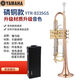 雅馬哈YAMAHA日本雅馬哈小號YTR-8335GS降B調(diào)初學(xué)考級演奏樂器專用小號 8335麟銅款（皮包）