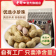 老街口蒜香奶香花生400g袋堅(jiān)果炒貨新貨水煮花生米曬干帶殼炒制零食年貨 蒜香味400g*2+奶香味400g*2