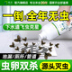 皎潔下水道去除小飛蟲殺蟲劑900g廁所驅蟲神器衛(wèi)生間管道滅蛾蚋蛾蠓