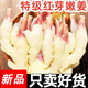 骉祥嫩姜新鮮紅芽指頭大仔姜現(xiàn)挖子姜山東紅芽老生姜非云南黃糖醋姜e 250g