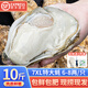 大生蠔鮮活牡蠣特大海蠣子新鮮生鮮貝類燒烤海鮮水產帶箱批發(fā)10斤 7XL超值款 鮮活發(fā)【帶箱10斤 共約13只】
