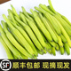 維桑黃花菜新鮮 順豐冷鏈 特色菜現摘金針菜 時令蔬菜 涼拌土特產 1斤