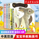 【新華書店旗艦店】樂樂趣亮麗精美觸摸書小兔比利小熊波比系列4冊動物立體感官觸摸書嬰兒早教翻翻書兒童啟蒙1-2-3歲寶寶認知中英雙語靚麗撕不爛繪本 【中英雙語加厚版觸摸書】全套4冊