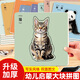 ZOCO拼圖0-3歲入門啟蒙兒童幼兒雙面圖文動(dòng)物可愛寶寶認(rèn)知玩具 【耐玩加厚+材質(zhì)安+雙面認(rèn)知】 【98%寶媽】動(dòng)物+水果+交通