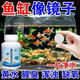 魚缸長效凈水片凈水劑除臭去腥大蘇打自來水養(yǎng)魚水困水硝化細菌 魚缸不換水【3瓶/300片】一片清