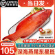 海澤鮮 海捕東星斑 鮮活凍燕尾石斑魚老虎斑生鮮斑魚 【冰鮮1條裝】 1.8斤 -2斤