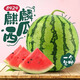 京興果8424美都麒麟西瓜新鮮水果現摘孕婦當季大小甜西瓜 2個(gè)裝【單果6斤左右】