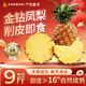 迎畔海南金鉆鳳梨菠蘿當(dāng)季新鮮水果爆甜手撕金菠蘿整箱禮盒裝 凈重4.5-5斤大果彩箱裝 2個果