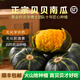 黃金籽山東正宗貝貝南瓜真貝貝板栗南瓜生鮮4.8斤家庭裝5-9個(gè)裝 家庭裝5-8個(gè)裝