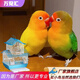 萬(wàn)寵匯 鳥(niǎo)活體虎皮鸚鵡籠養牡丹玄風(fēng)活鳥(niǎo)學(xué)說(shuō)話(huà)手養小太陽(yáng)鸚鵡和尚鸚鵡 愛(ài)情鳥(niǎo)+黃金絲+雙層飼養籠+糧1斤