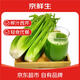 京鮮生山東新鮮大西芹凈重4.5斤榨汁現(xiàn)挖芹菜鮮嫩蔬菜 去半葉源頭直發(fā)