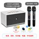 LEJI樂(lè )基 W66家庭KTV音響套裝無(wú)線(xiàn)話(huà)筒教學(xué)練歌麥克風(fēng)電視K歌家用音箱 W66pro+鋁合金話(huà)筒一對裝