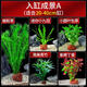瘋狂水草魚缸水草植物直接入缸火山石魚缸造景套餐20-40cm缸源頭直發(fā)包郵a