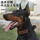 貓容狗狗項圈中大型犬金毛馬犬杜賓戰(zhàn)術(shù)項圈牽引繩防爆沖猛犬脖圈脖套 黑色項圈【送隨機魔術(shù)貼】 M碼建議26-56斤
