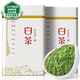 陳一凡 綠茶 2025年新茶安吉白葉一號白茶葉 一級250g明前新茶