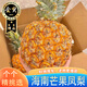 小筑傾橙海南芒果鳳梨臺農23號爆甜無(wú)眼菠蘿大果新鮮水果當季禮盒整箱 5斤品質(zhì)精選果【2-3個(gè)】