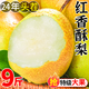 紅香酥梨水果新鮮整箱當(dāng)季10斤包郵薄皮青酥梨脆蜜雪梨5香梨梨子 9斤裝