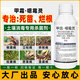 30%甲霜惡霉靈土壤消毒殺菌劑水稻立枯病黃瓜根腐爛根枯黃萎病 優(yōu)勵雙盈-甲霜惡霉靈1000克