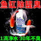 【凈水又除臭】魚(yú)缸凈水劑魚(yú)缸除臭除腥味除藻去苔養魚(yú)水質(zhì)凈化劑 500ml 3瓶 【當天見(jiàn)效】