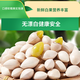 十里饞銀杏果三只淞鼠新鮮大顆帶殼白果銀杏果無漂白泰興特級干貨生百果 2斤特大果