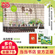 【當當 正版包郵】生活蒙太奇+有一年+格里格外等套裝單冊自選 知名插畫(huà)師天然插畫(huà)作品合集 藝術(shù)繪畫(huà)畫(huà)冊插畫(huà)作品集網(wǎng)絡(luò )熱門(mén)繪本漫畫(huà)故事集 有一年