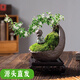 聽雪樓懸崖紅花茶禪意室內(nèi)窗臺(tái)小綠植物辦公室茶幾面盆栽 六月雪+月牙彎+底座+苔蘚+小和尚 帶盆栽好