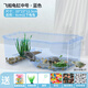 寵尚天 烏龜缸別墅生態(tài)飼養箱小烏龜活物活體龜盆寵物龜中華草龜 中號龜缸 藍 +大禮包+龜