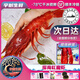 【宇樹(shù)生鮮】蝦皇級新鮮深海紅魔蝦凈重400g超低溫活體冷凍冷鏈 蝦皇級3-4條/盒 400g(凈重)
