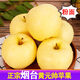 甜醉了 煙臺(tái)蘋(píng)果黃元帥粉面蘋(píng)果黃金帥黃香蕉山東新鮮水果當(dāng)季整箱鮮果 凈重4.5斤75mm