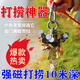 強磁打撈神器專(zhuān)用強力磁鐵超強磁王帶繩子水下打撈金銀銅鐵高精度 【超強吸力】可探水下300斤寶藏